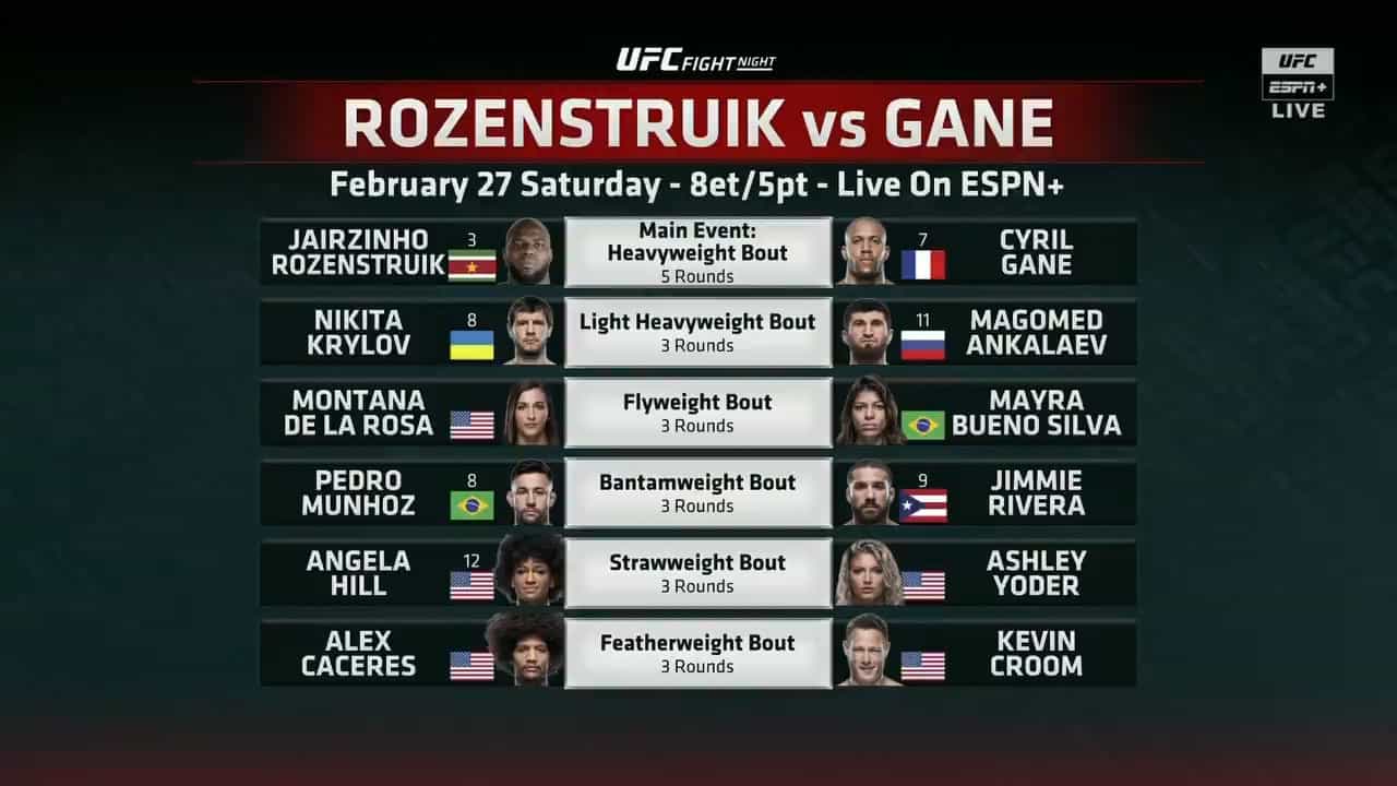 UFC Fight Night 186: Rozenstruik vs. Gane