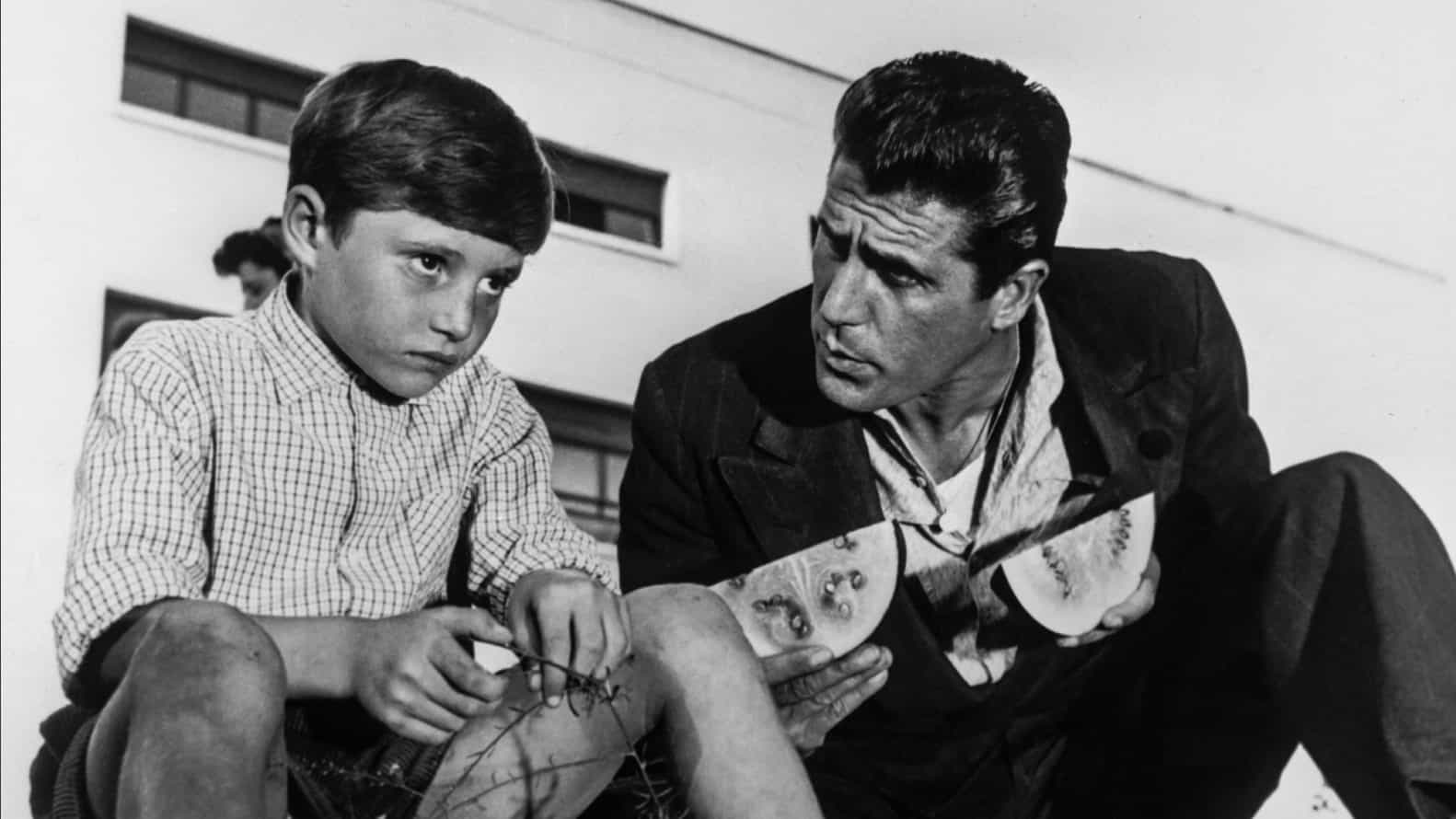 The Window to Luna Park