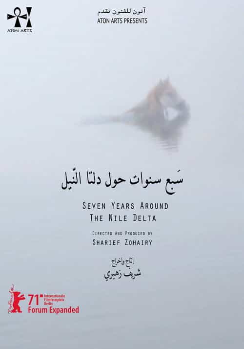Seven Years Around the Nile Delta