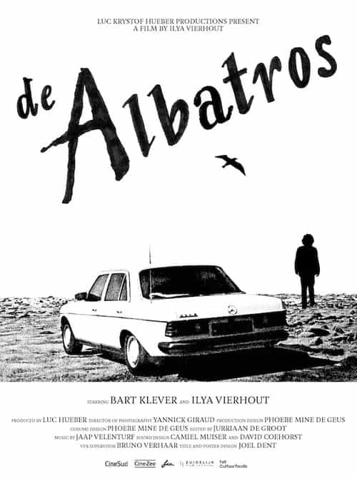 The Albatross