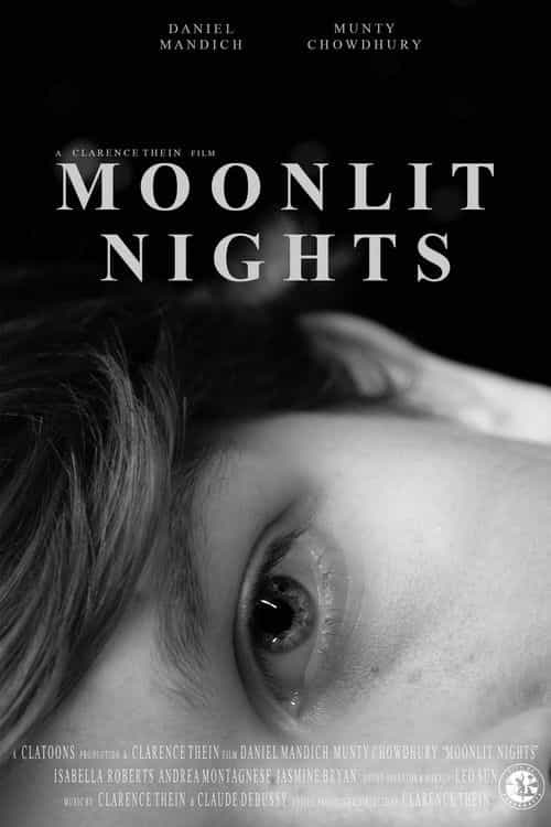 Moonlit Nights