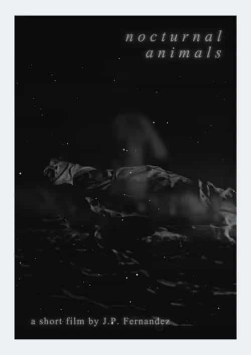 Nocturnal Animals