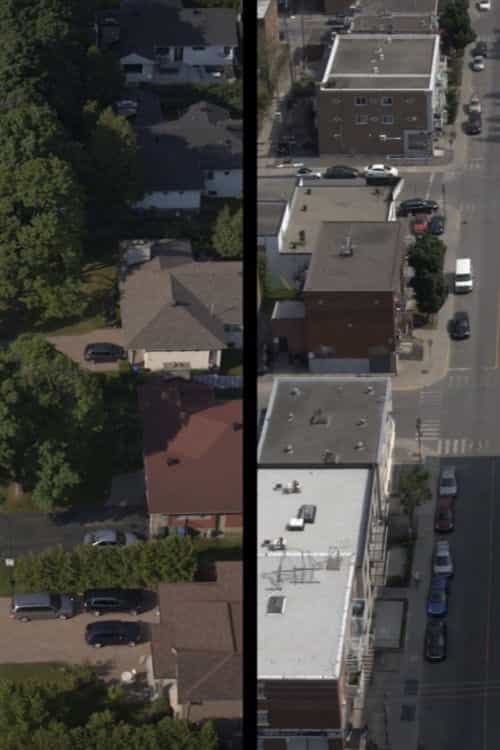 Neighbors in My Backyard