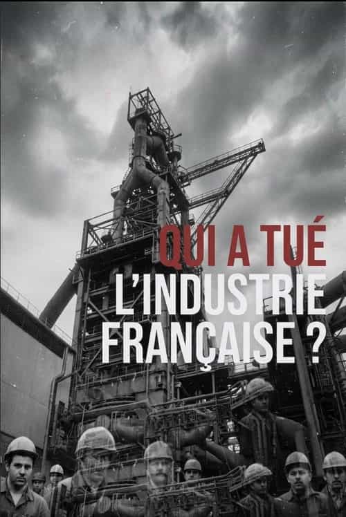 Qui a tué l'industrie française ?