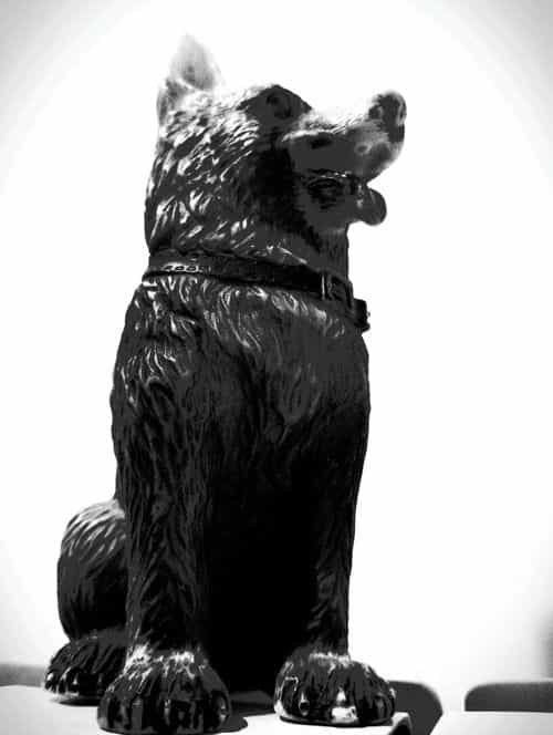 The Dog of Sarandi Alley