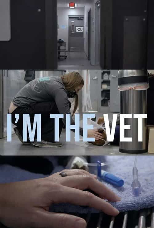 I'm the Vet