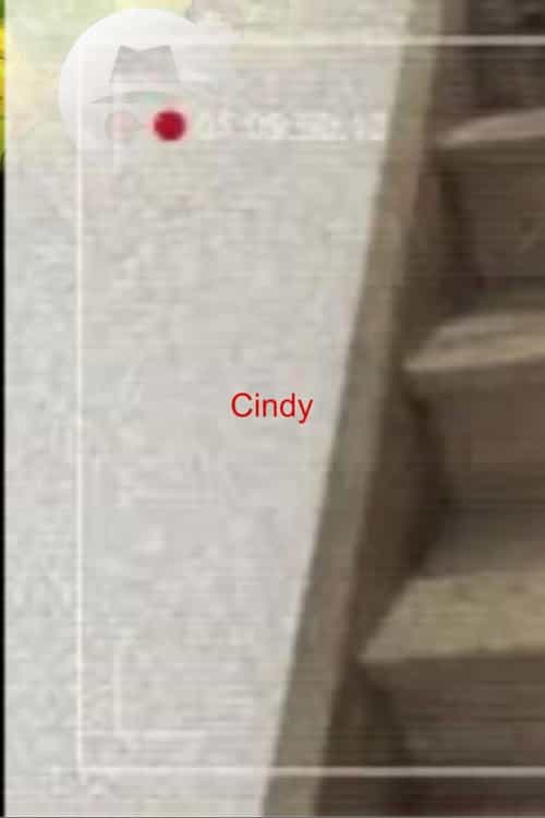 Cindy