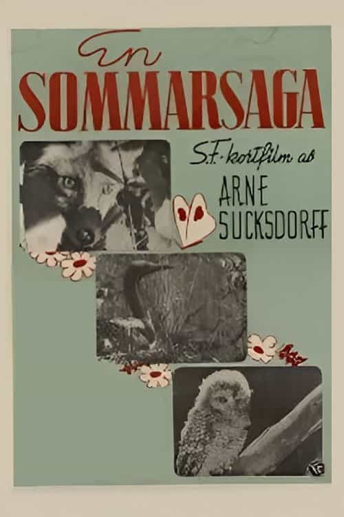 Summer's Tale
