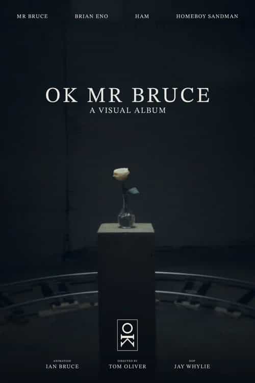 OK MR BRUCE