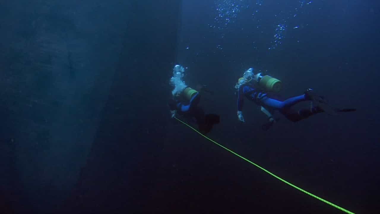 Sea Monkey