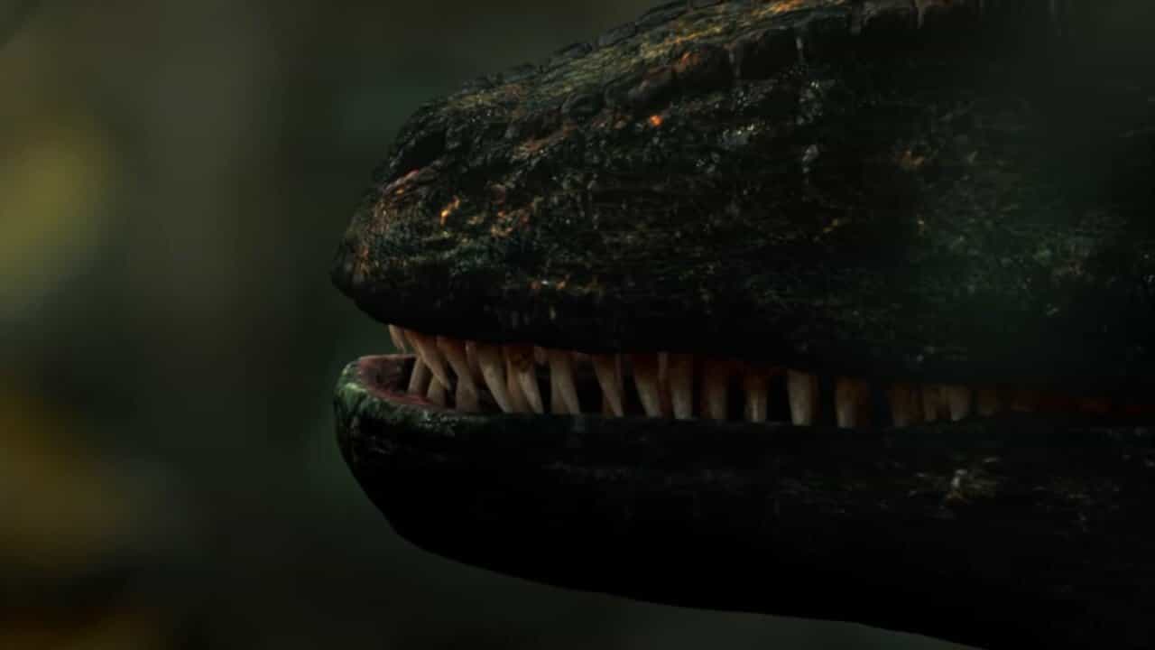 Intruders: Who is the Trespasser