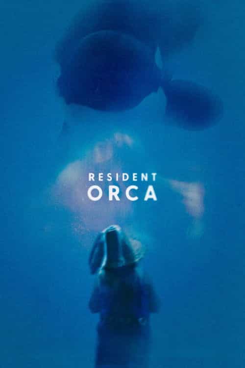 Resident Orca